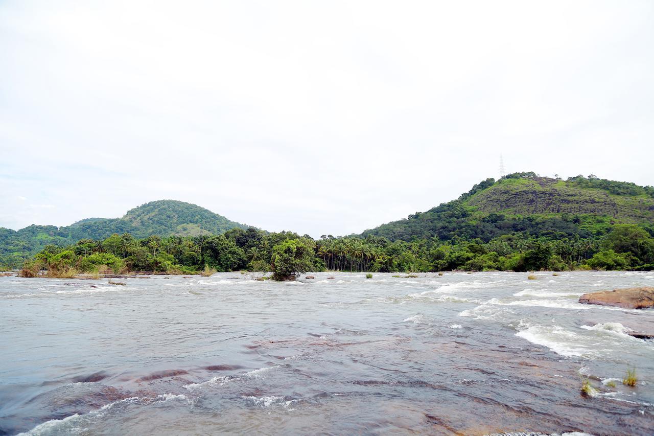 Athirapilly River Resort Athirappilly Esterno foto